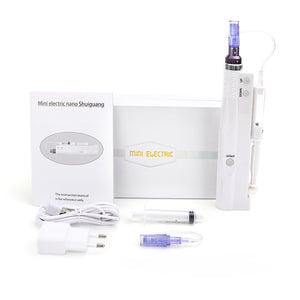 Hydra Injector Derma Pen 2 in 1 Nano Mesotherapy Microneedle Pen Mesogun Portable Smart Injector Pen Facial Treatment Machine